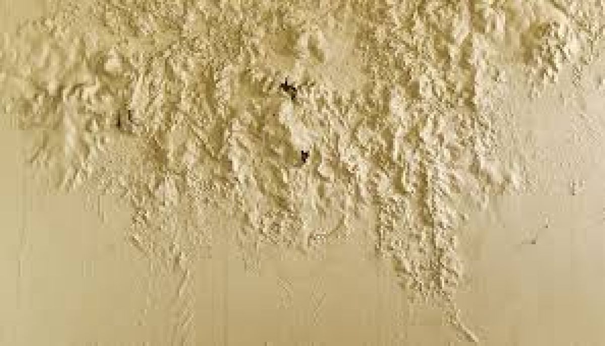 Por qué aparecen burbujas en pintura interior Barcelona